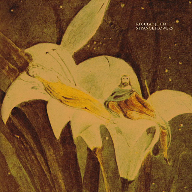 Strange Flowers album cover