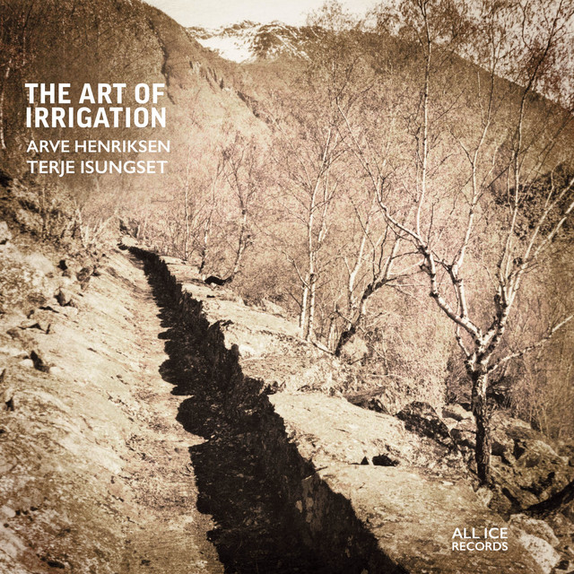 The Art of Irrigation album cover
