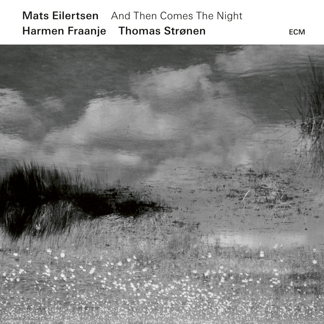 And Then Comes The Night album cover