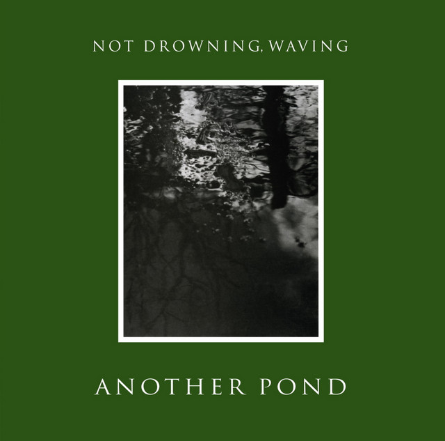 Another Pond album cover