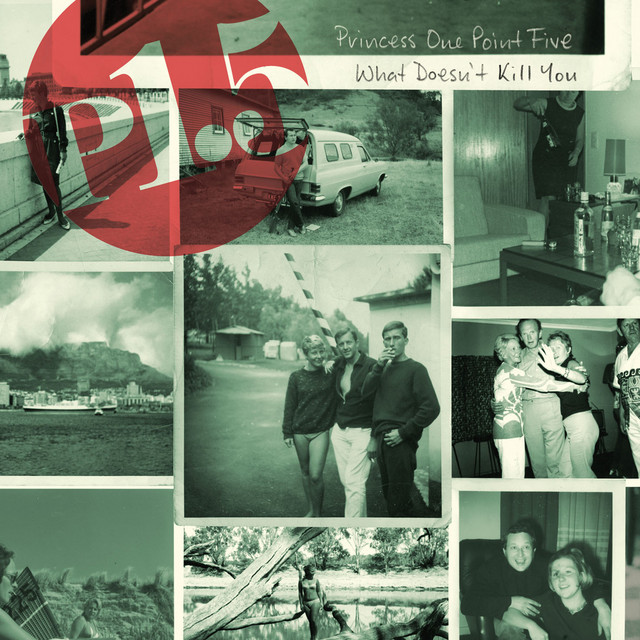 What Doesn't Kill You album cover