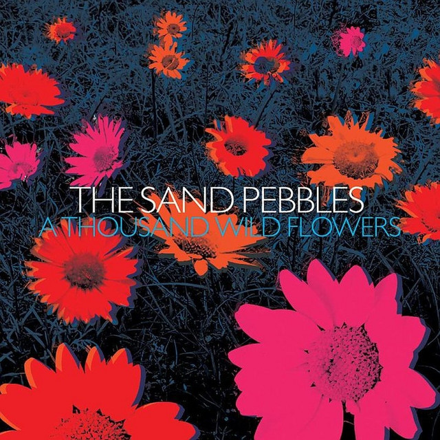 A Thousand Wild Flowers album cover