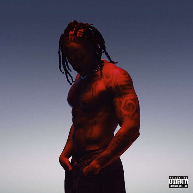 HEAVY album cover