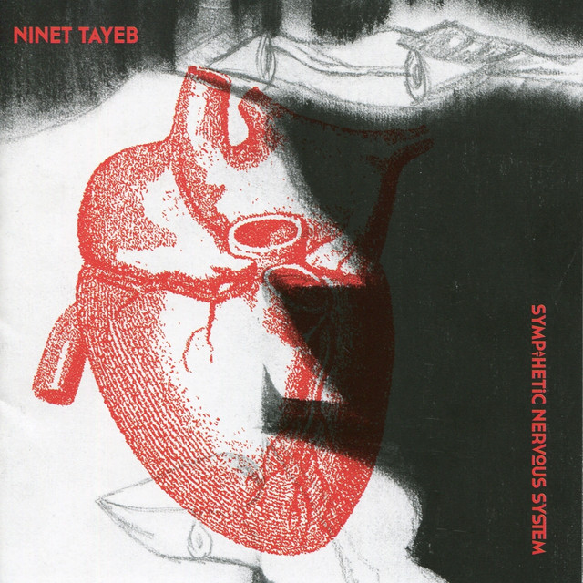Sympathetic Nervous System album cover