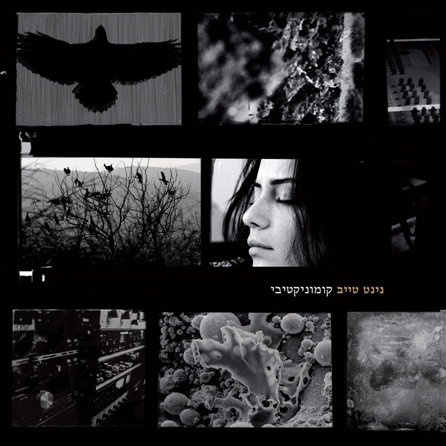 קומיוניקטיבי album cover