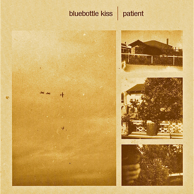 Patient album cover