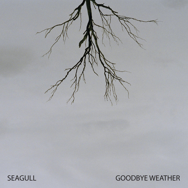 Goodbye Weather album cover