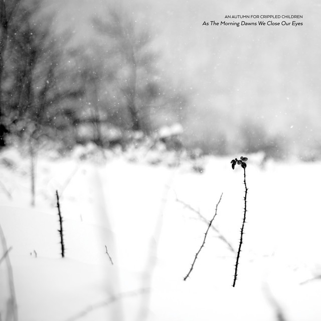 As the Morning Dawns We Close Our Eyes album cover