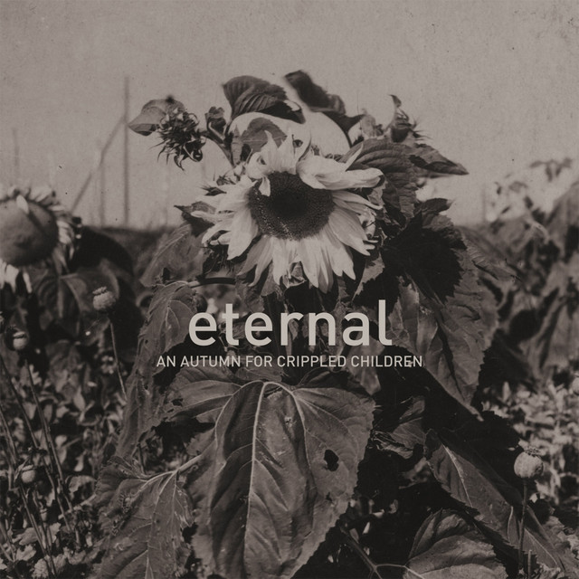Eternal album cover