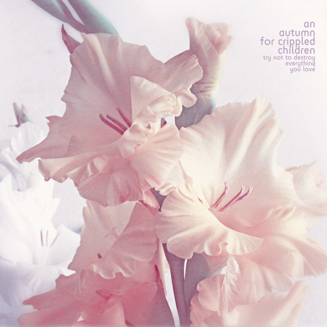 Try Not to Destroy Everything you Love album cover