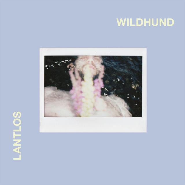 Wildhund album cover