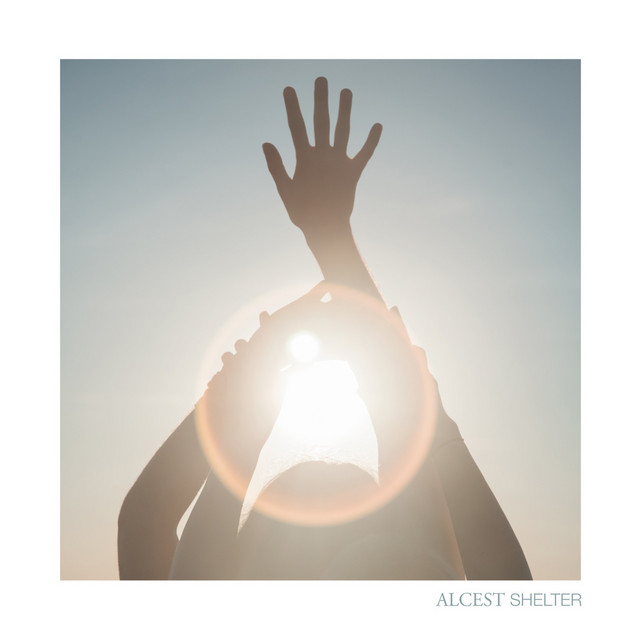 Shelter (Deluxe Edition) album cover