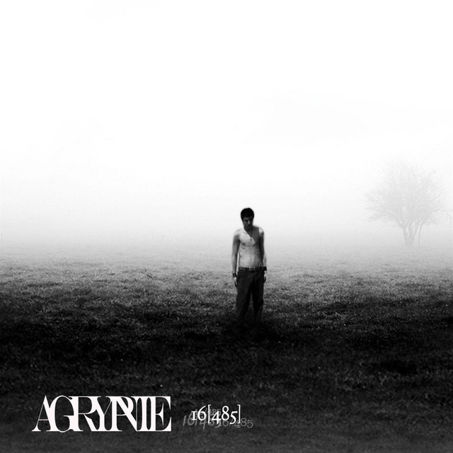 16[485] album cover