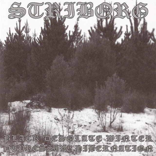 Black Desolate Winter / Depressive Hibernation album cover