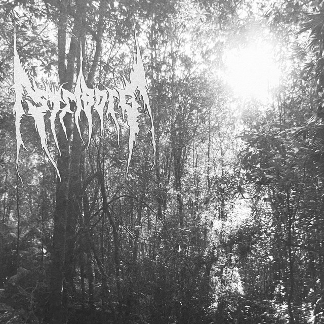 Perceiving the World with Hate album cover