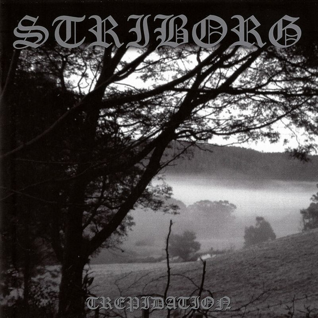 Trepidation album cover