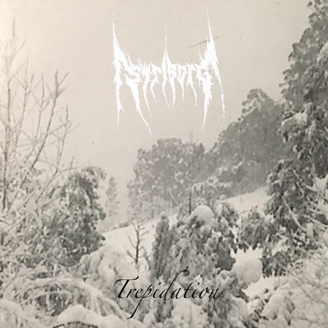 The Trepidation Sessions album cover