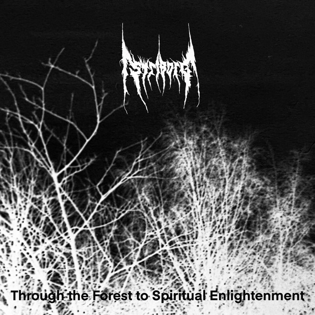 Through the Forest to Spiritual Enlightenment album cover