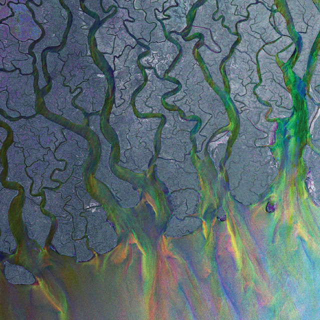 Roland Juno-6 as heard on An Awesome Wave by Alt-J (2012)