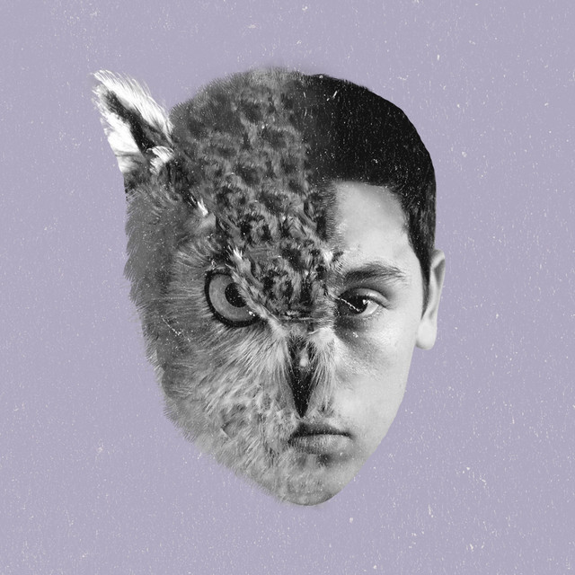 Birdland album cover