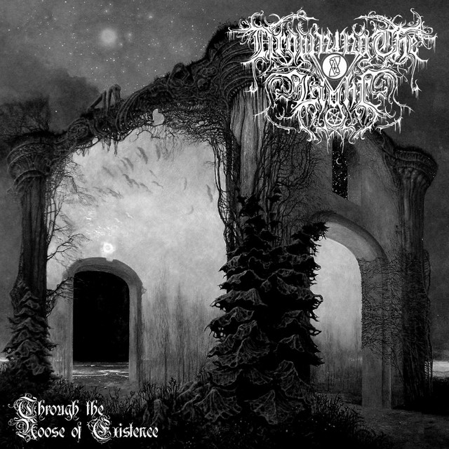 Through the Noose of Existence album cover