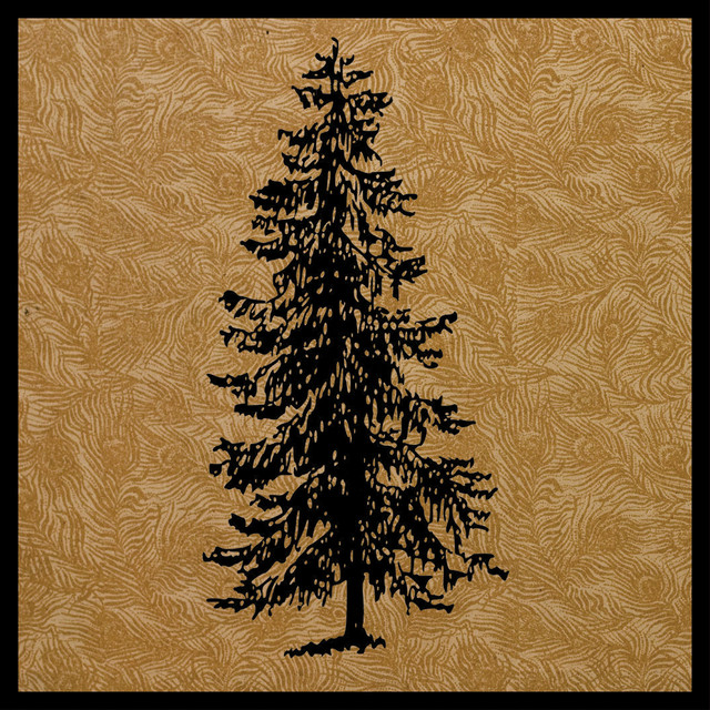 Never Mind the Emptiness album cover