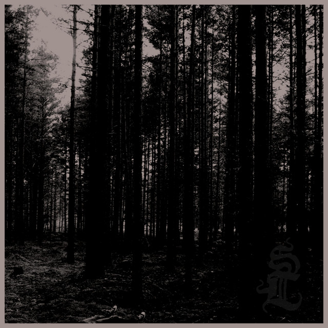 Skog album cover