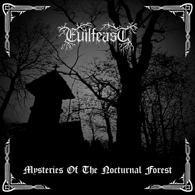 Mysteries of the Nocturnal Forest album cover