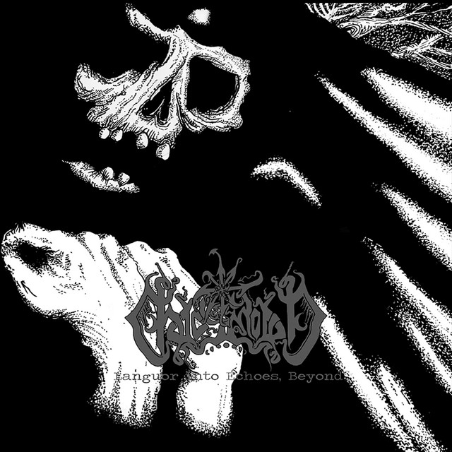 Languor Into Echoes, Beyond (Re-Recorded) album cover