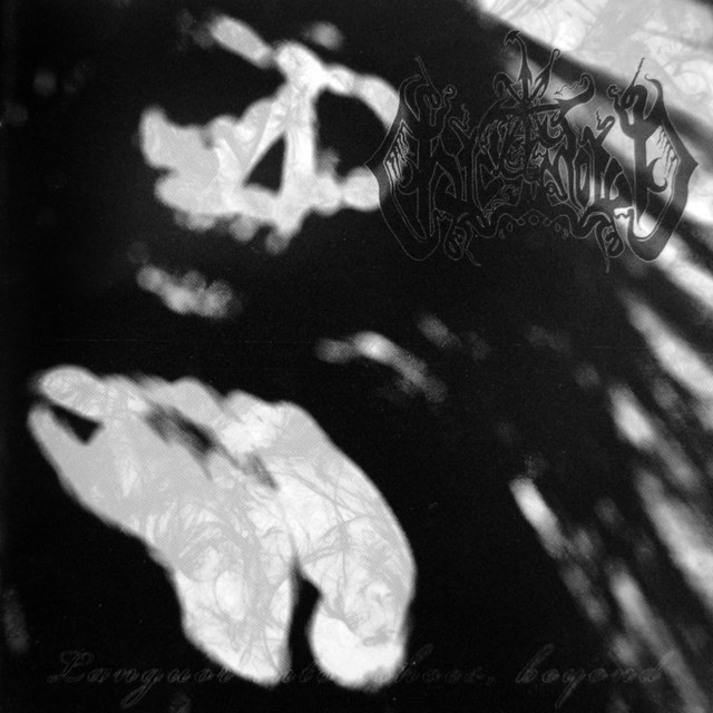 Languor Into Echoes, Beyond album cover