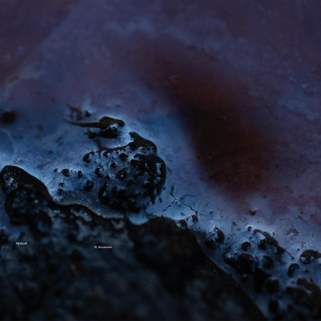 III, Ascension album cover