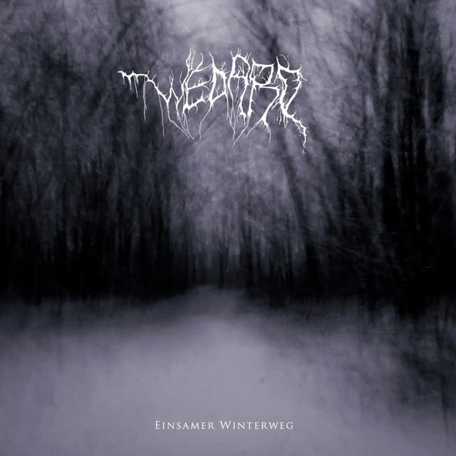 Einsamer Winterweg album cover