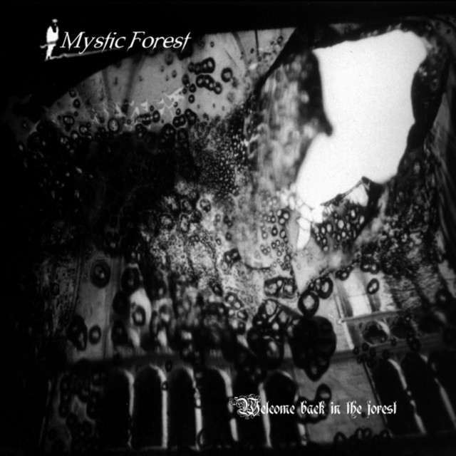 Welcome Back In The Forest album cover