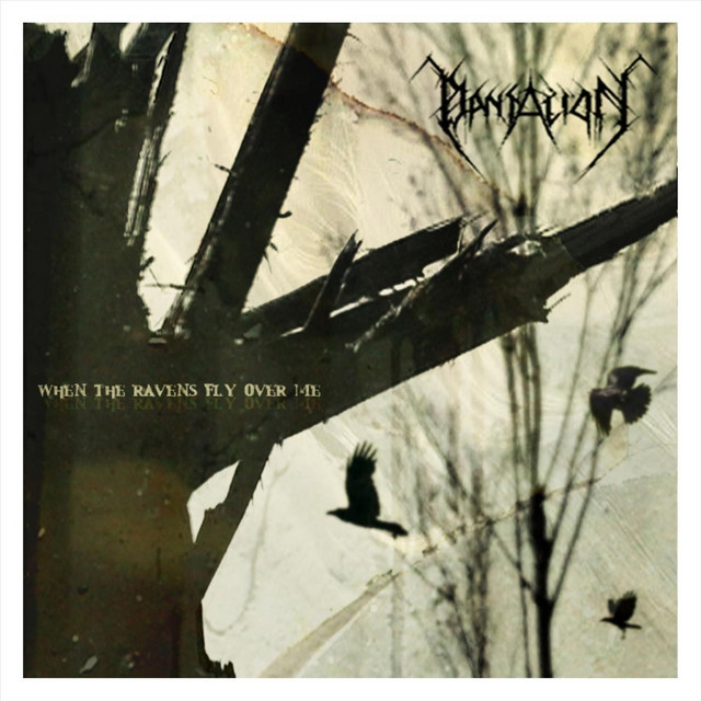 When the Ravens Fly Over Me album cover