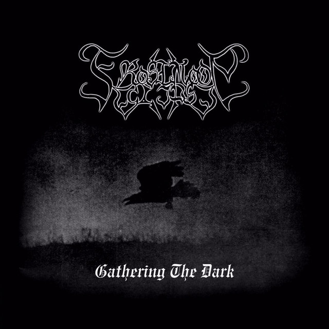 Gathering The Dark album cover