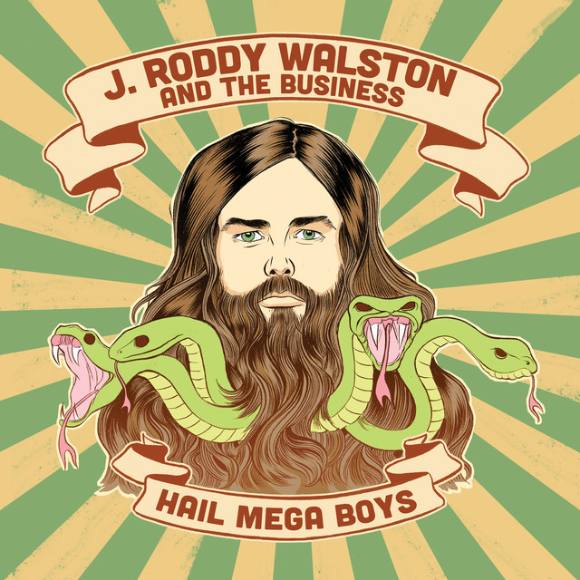 Hail Mega Boys album cover