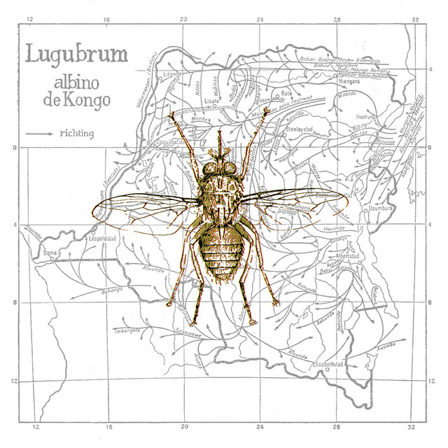 Albino de Congo album cover