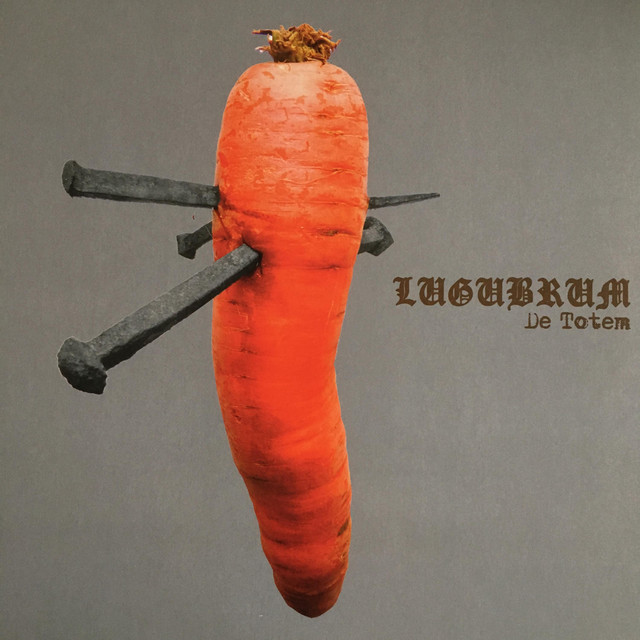 De Totem album cover