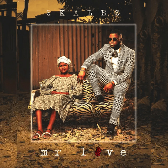 Mr Love album cover