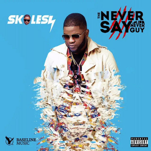The Never Say Never Guy album cover