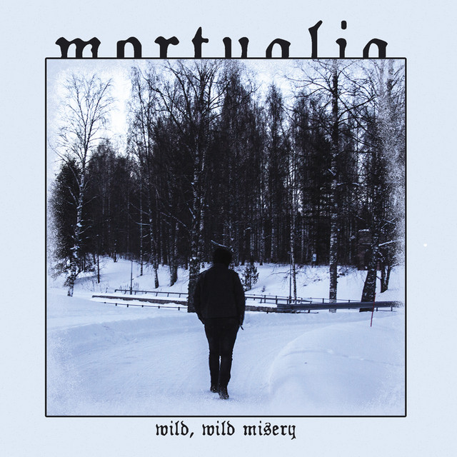 Wild, Wild Misery album cover