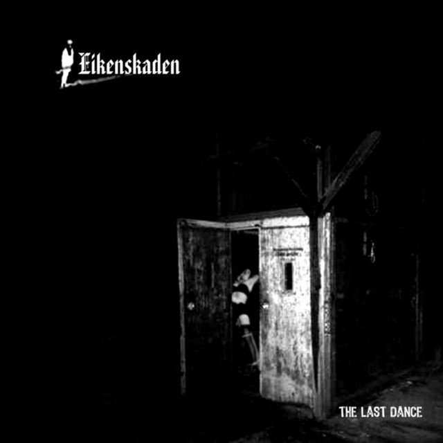 The Last Dance album cover