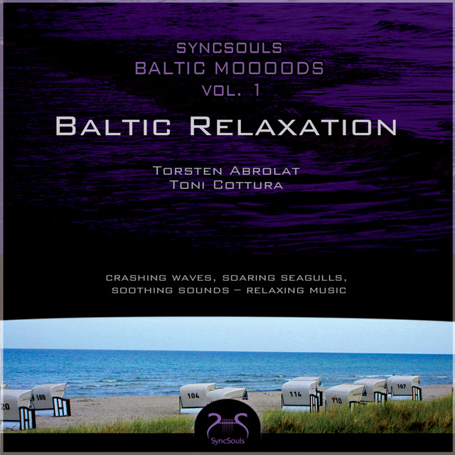 Syncsouls Baltic Moooods - Relaxation by the sea - Crashing Waves, Soaring Seagulls, Soothing Sounds - Relaxing Music album cover
