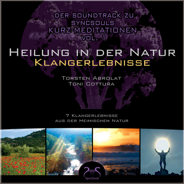 Soundtrack zu SyncSouls - Heilung in der Natur - Klangerlebnisse - Entspannen, Meditation, Einschlafhilfe - Sonne, Wald, Wiese, Fluß, Meer, Landschaften, Schnee album cover