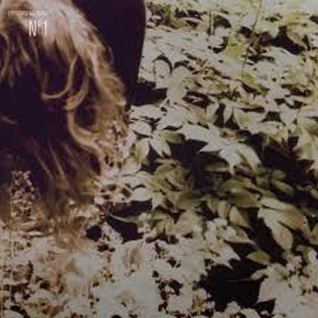 No. 1 album cover