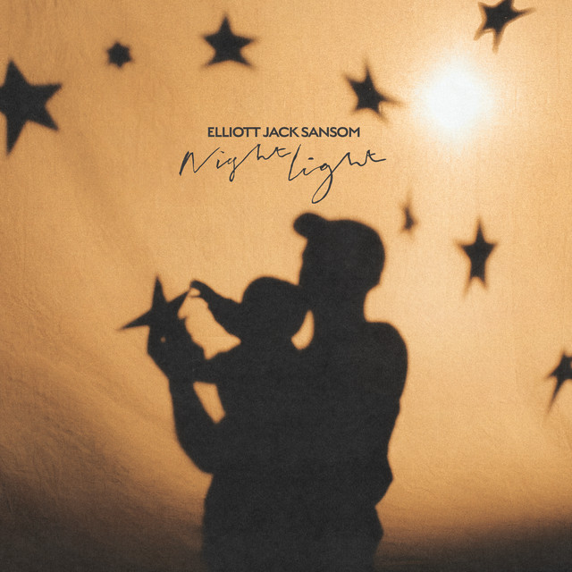 Night Light album cover