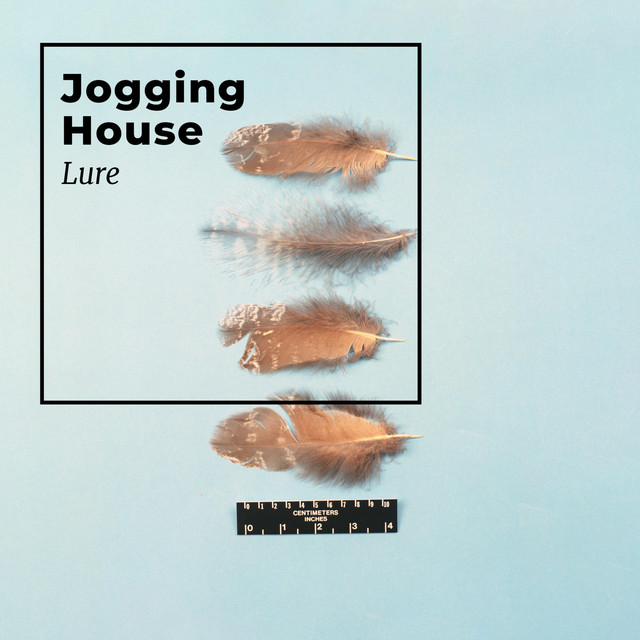 Lure album cover