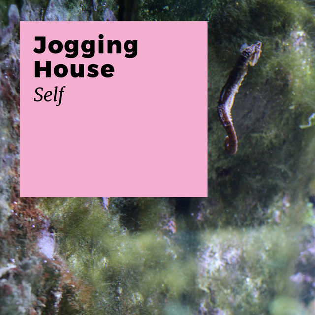 Self album cover