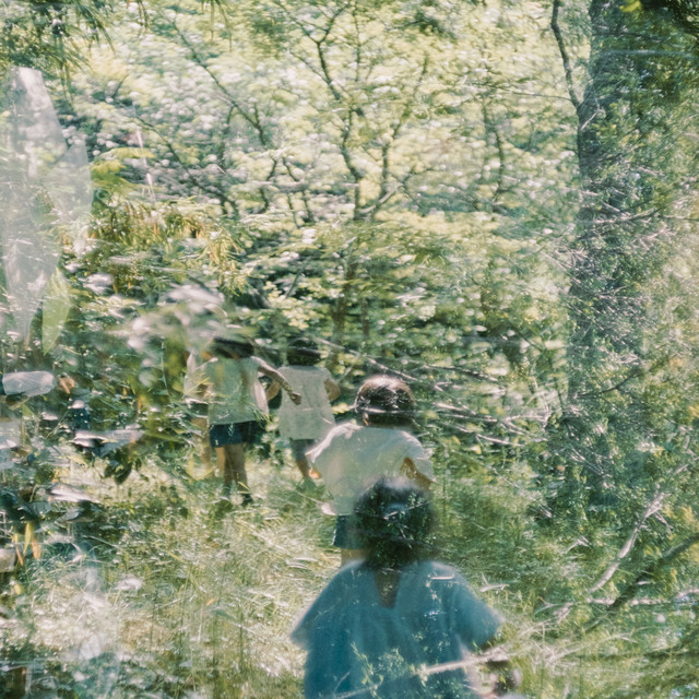 Stones of Paradise album cover