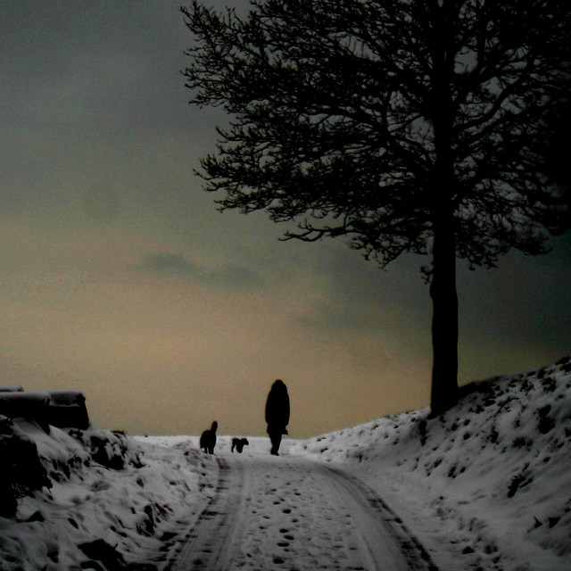 Cold album cover